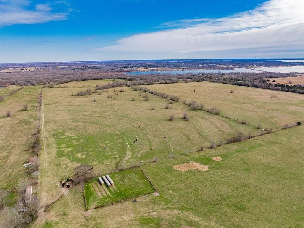 161.65 acres in Rains County - photo 4
