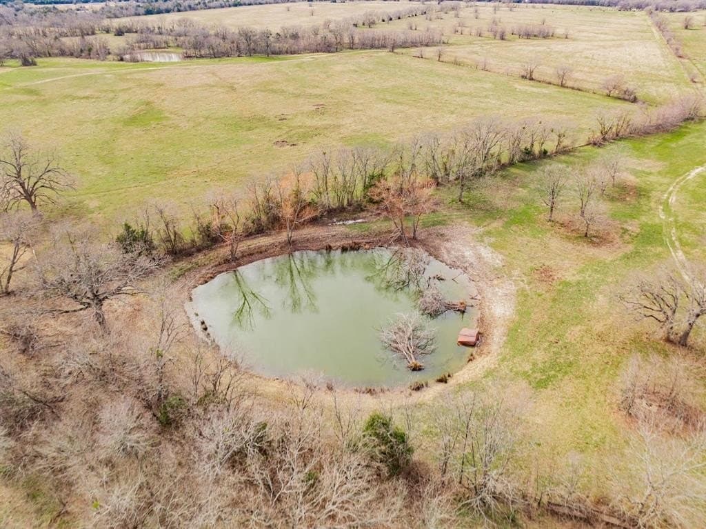 161.65 acres in Rains County - photo 14