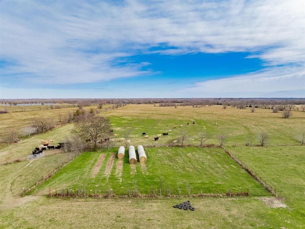 161.65 acres in Rains County - photo 18