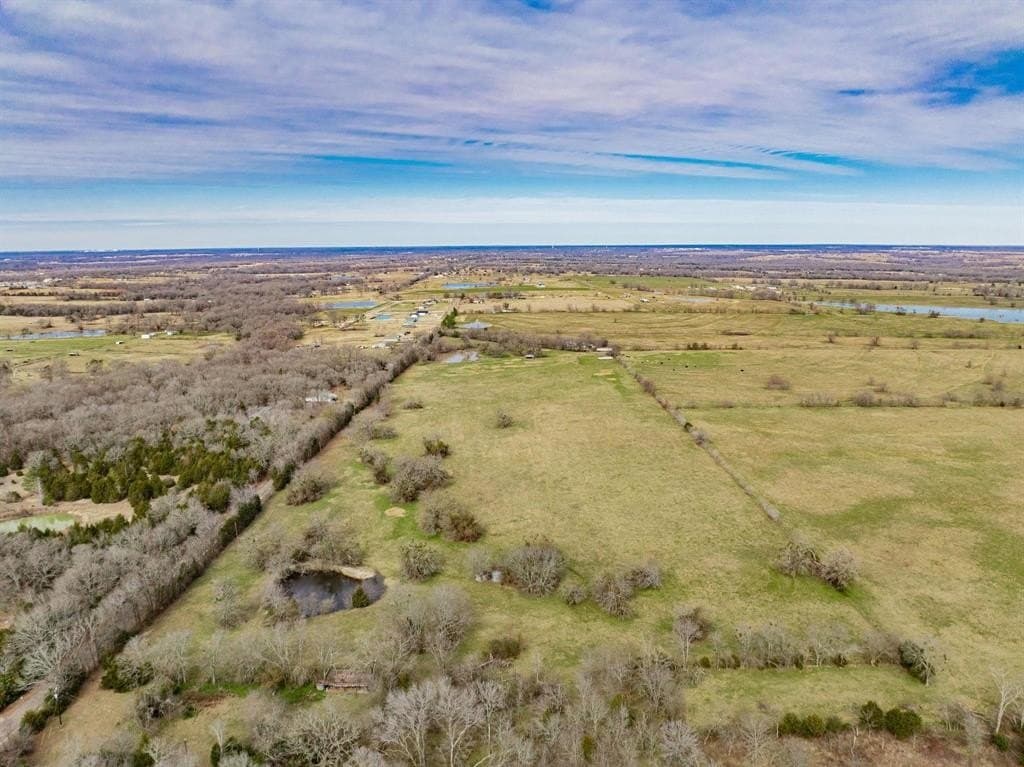 161.65 acres in Rains County - photo 9