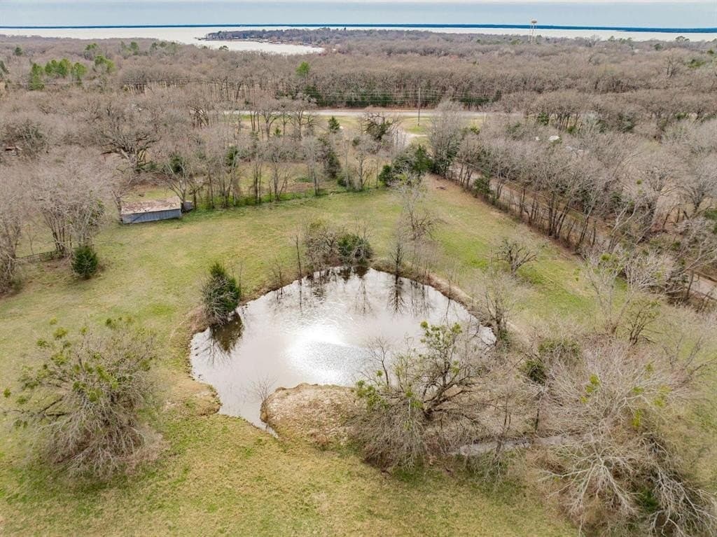 161.65 acres in Rains County - photo 22
