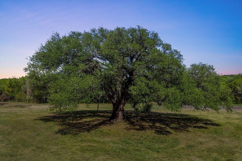 24.98 acres in McLennan County - photo 17