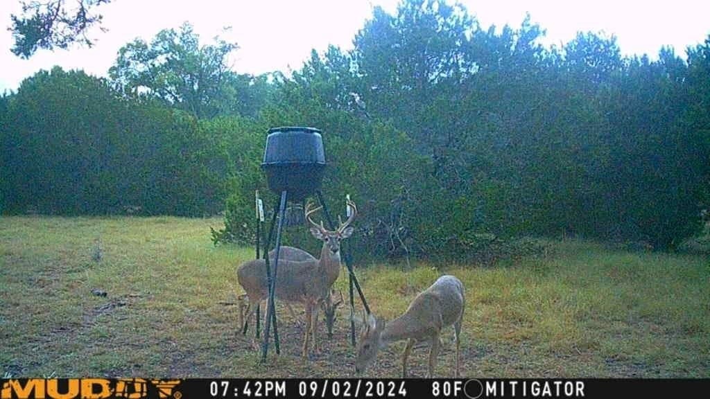24.98 acres in McLennan County - photo 21