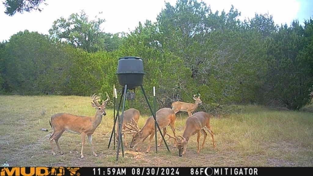 24.98 acres in McLennan County - photo 18