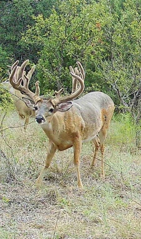 24.98 acres in McLennan County - photo 20