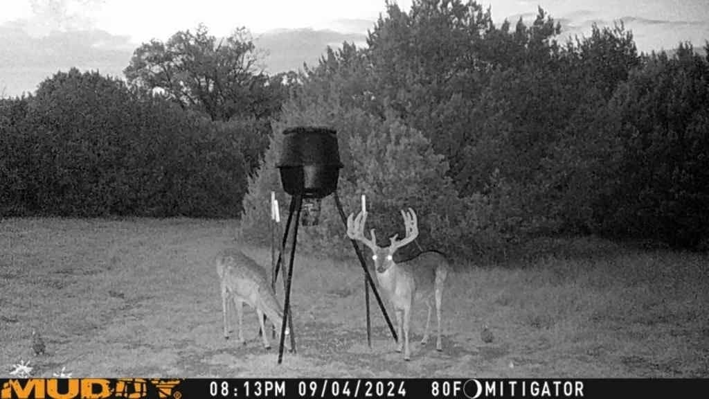 24.98 acres in McLennan County - photo 19