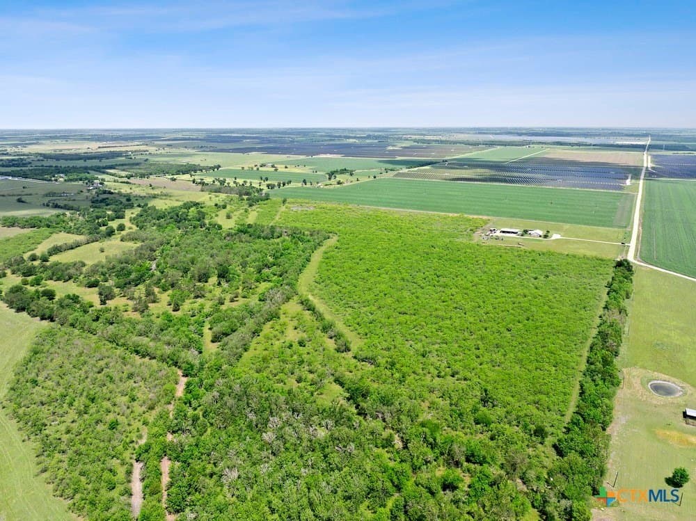 56 acres in Bell County - photo 7