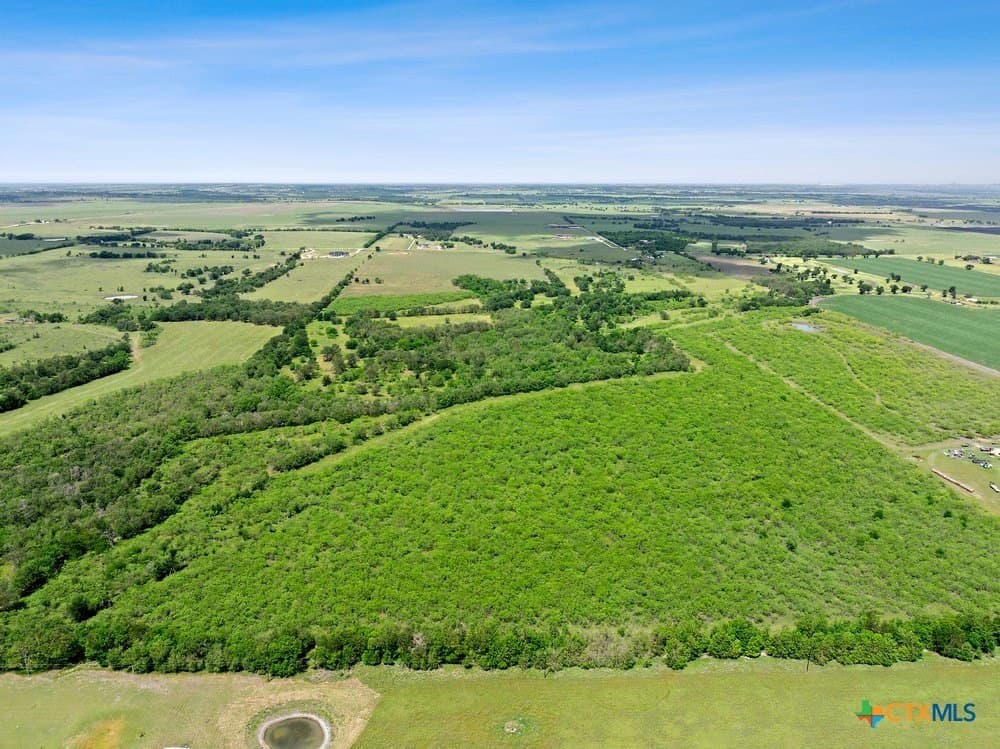 56 acres in Bell County - photo 8