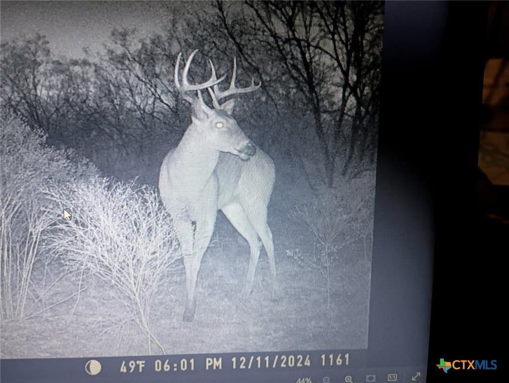 56 acres in Bell County - photo 14