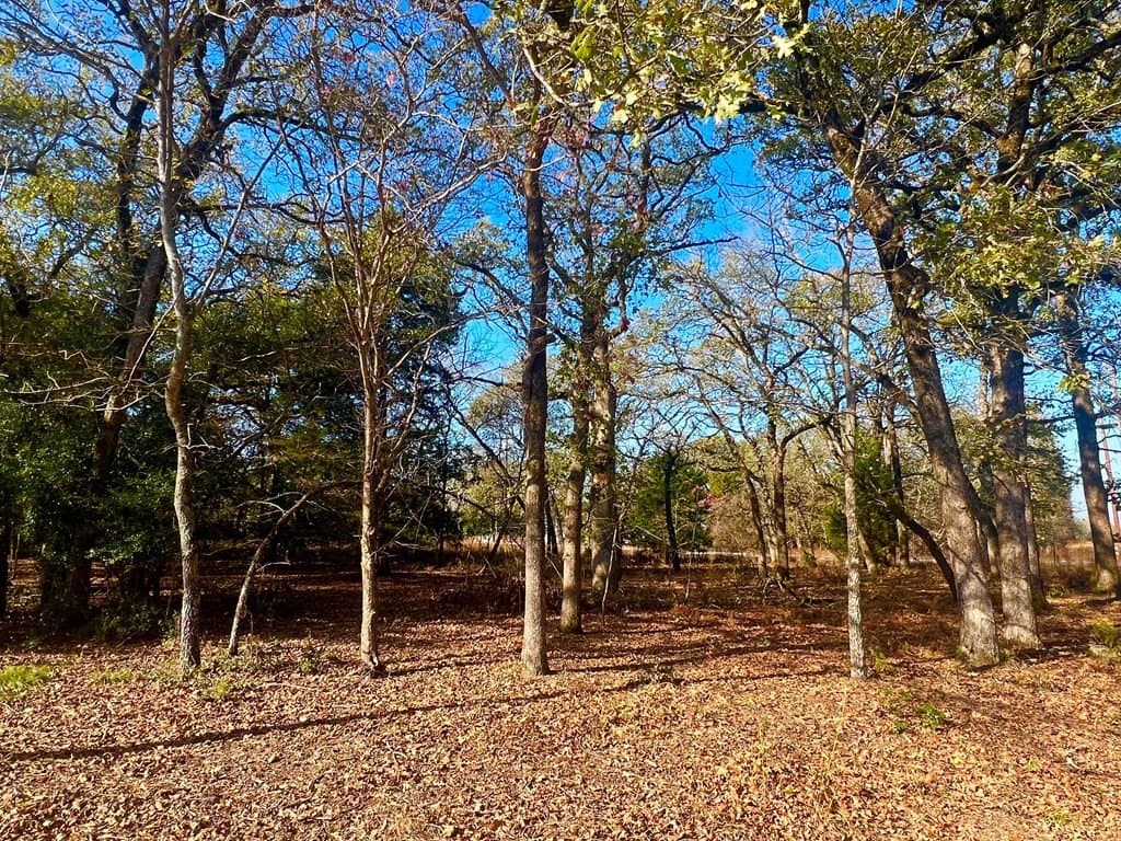 0.53 acres in Henderson County - photo 2