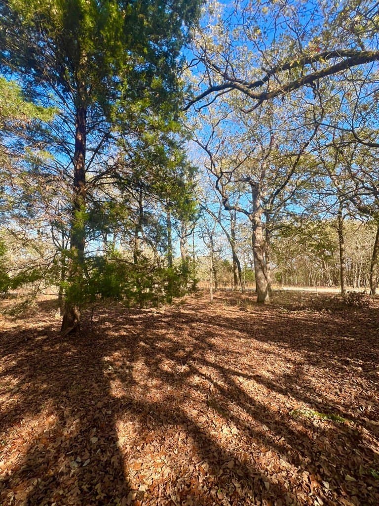 0.53 acres in Henderson County - photo 3