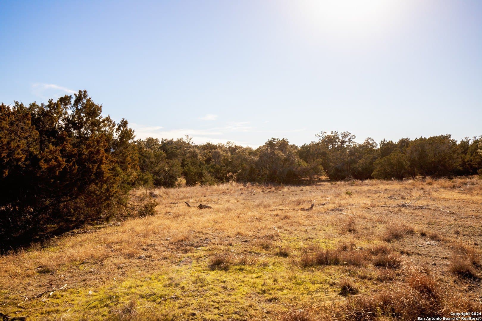 1.48 acres in Comal County - photo 17