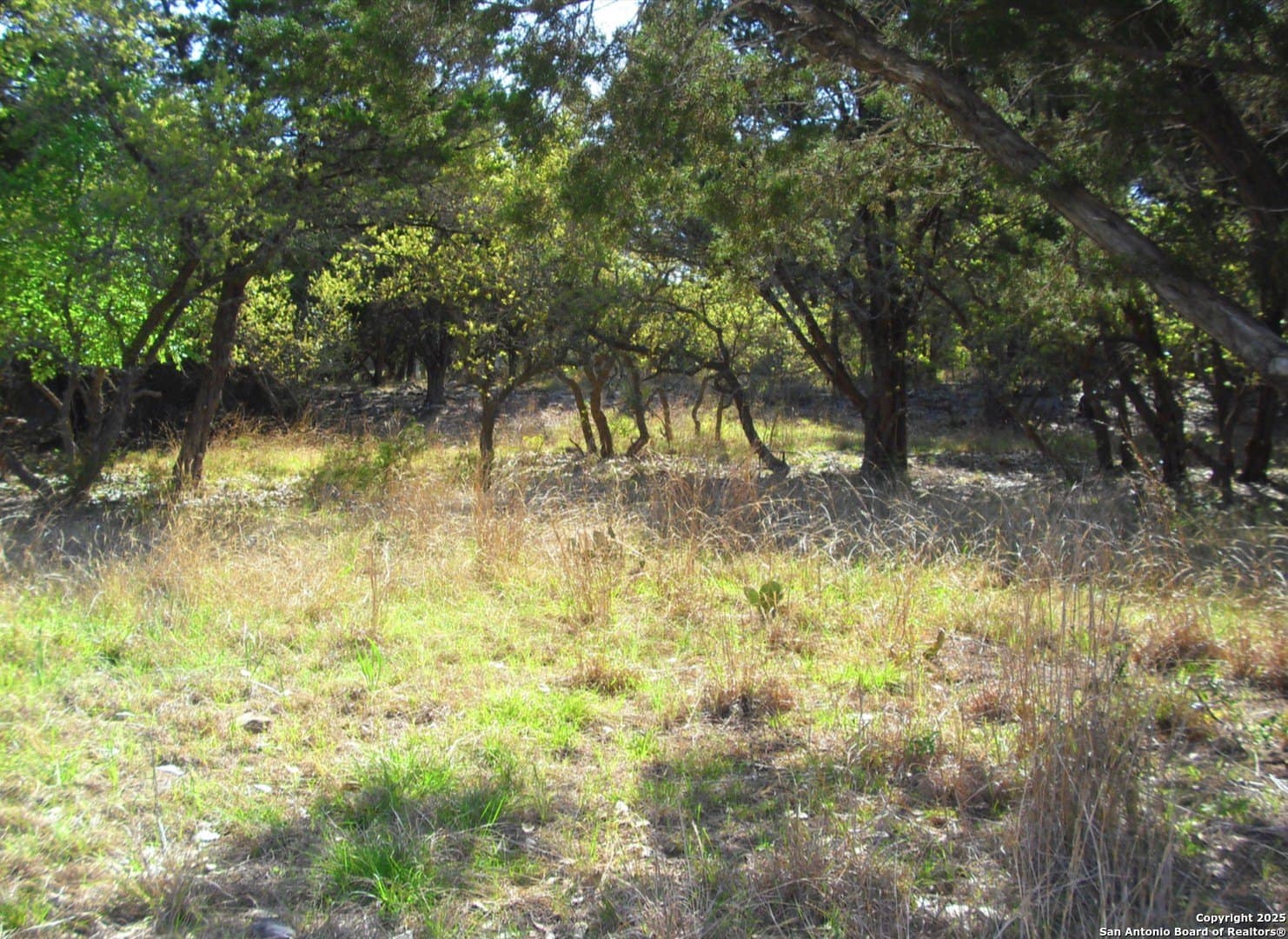 0.96 acres in Comal County - photo 2