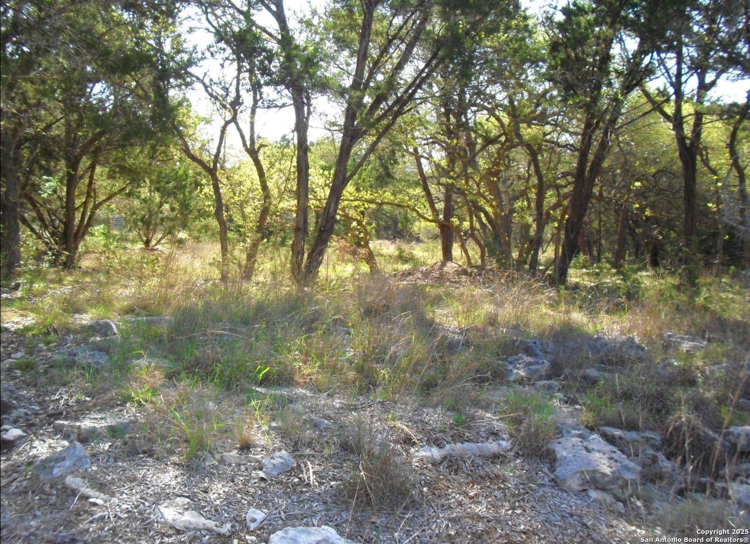 0.96 acres in Comal County - photo 3
