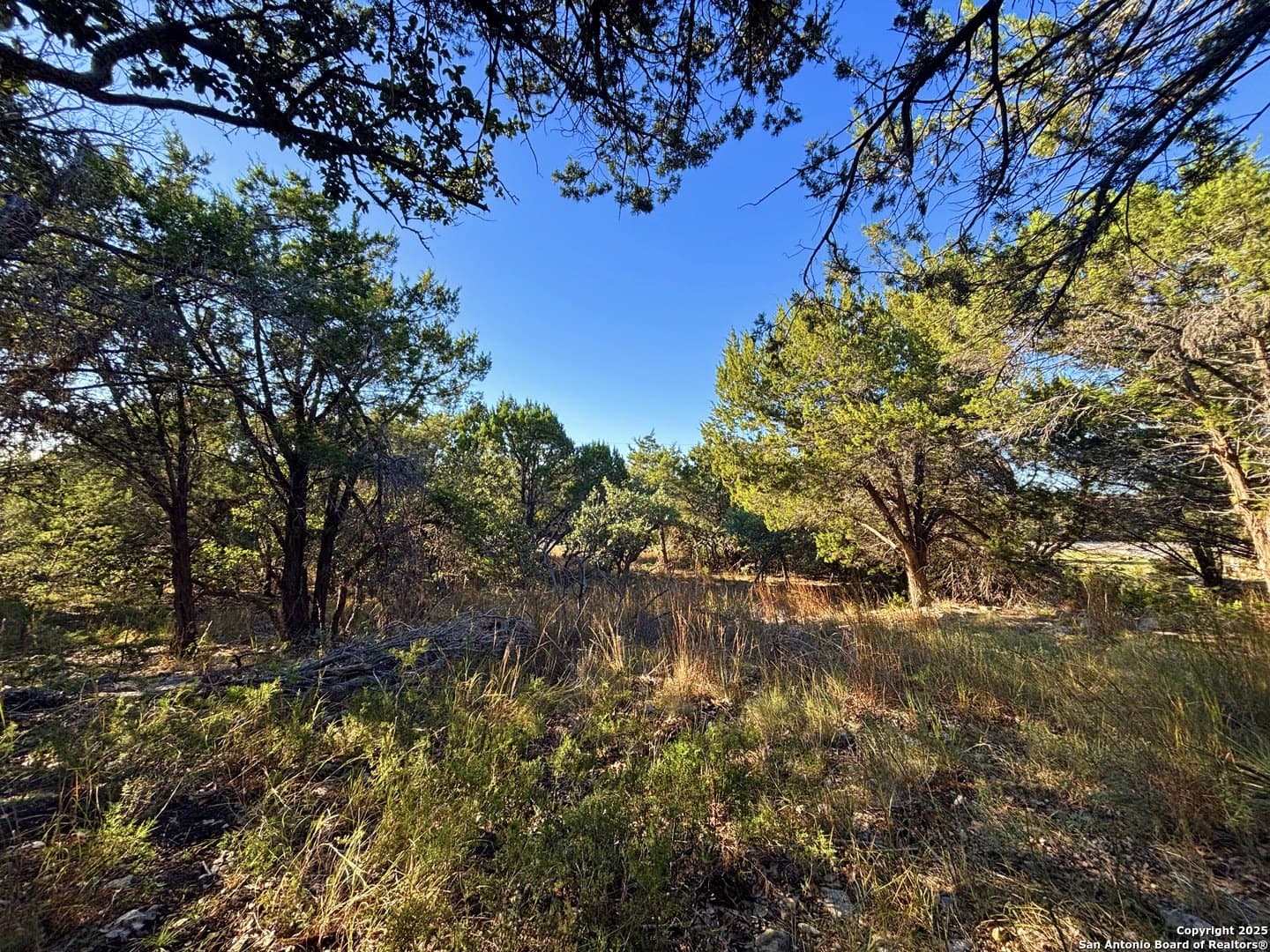0.96 acres in Comal County - photo 4