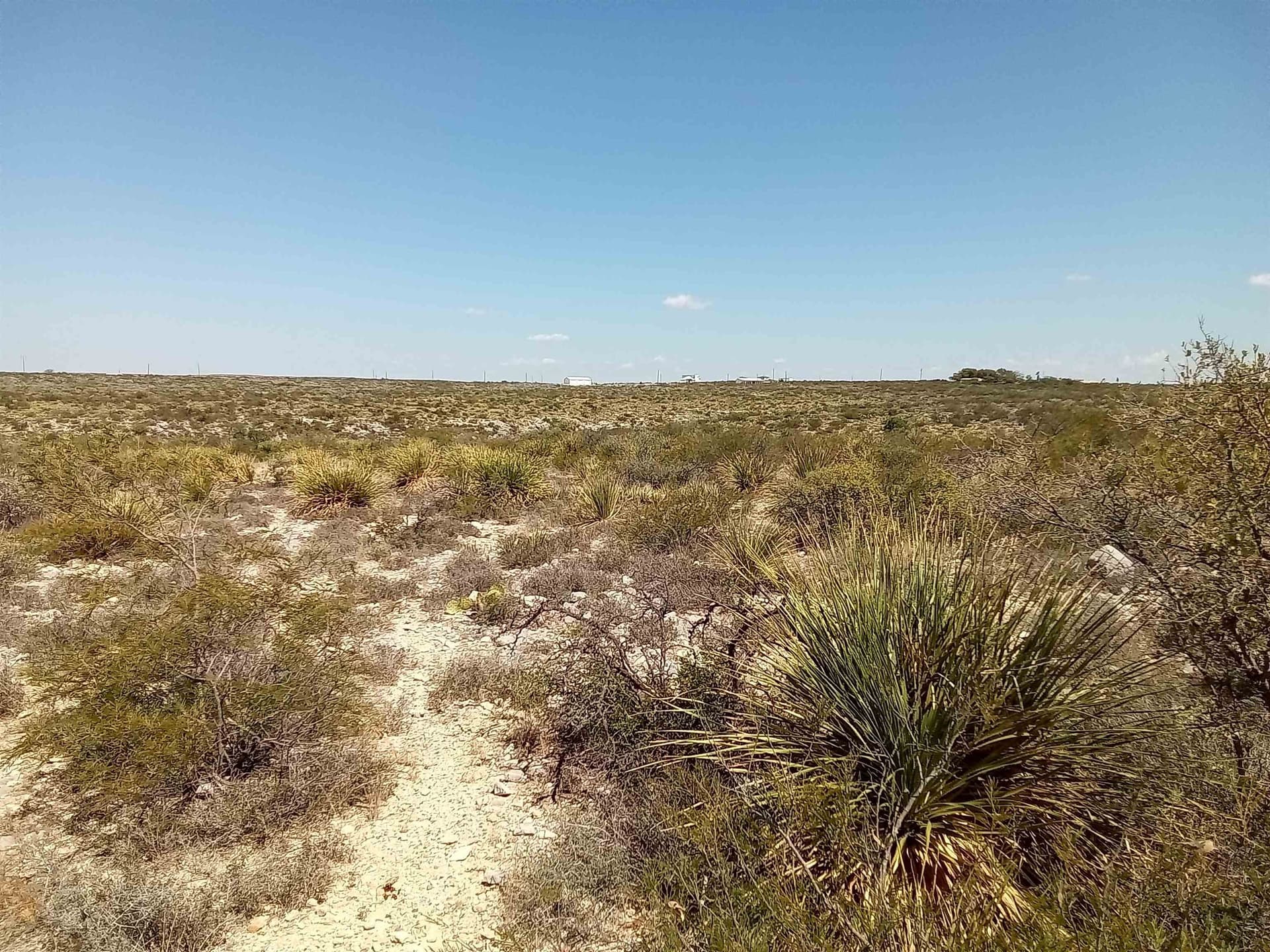 12.71 acres in Val Verde County - photo 5