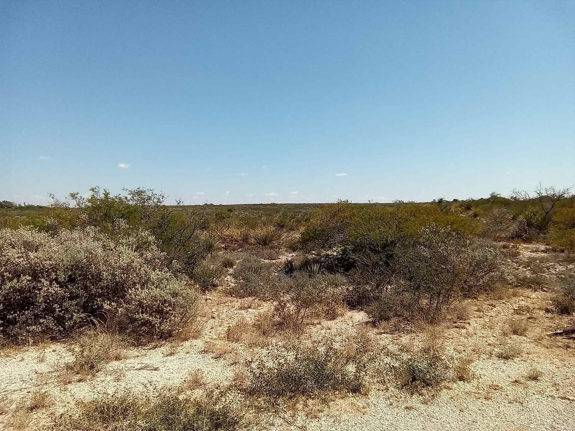 12.71 acres in Val Verde County - photo 3