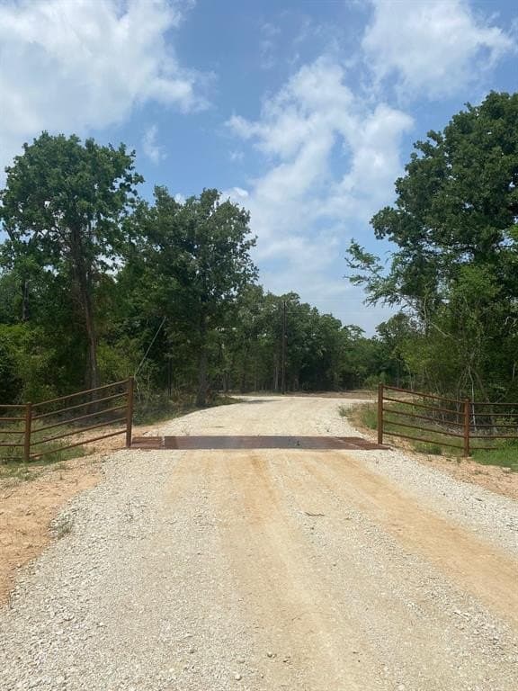 91.75 acres in Limestone County - photo 4
