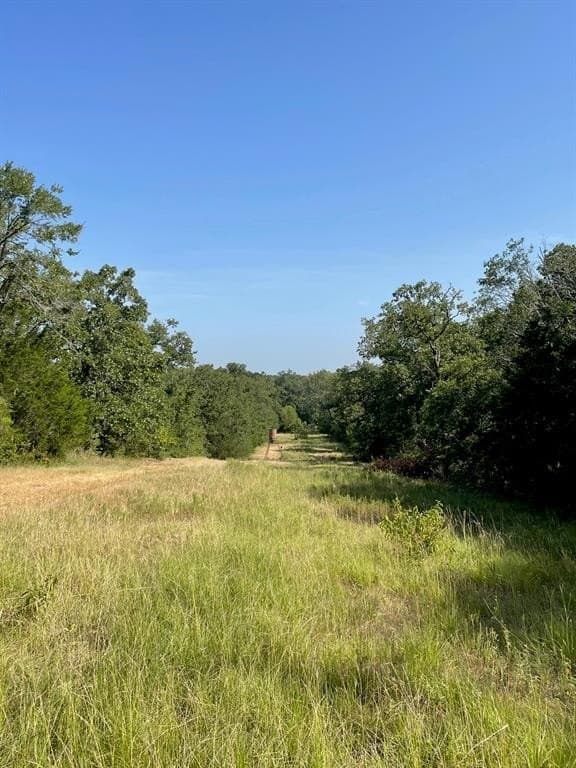 91.75 acres in Limestone County - photo 6