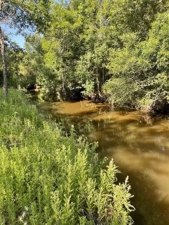 91.75 acres in Limestone County - photo 3