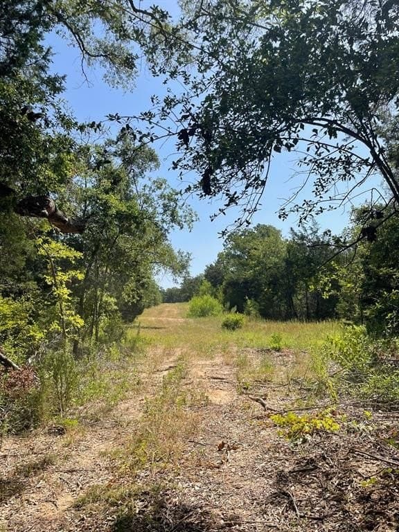 91.75 acres in Limestone County - photo 14