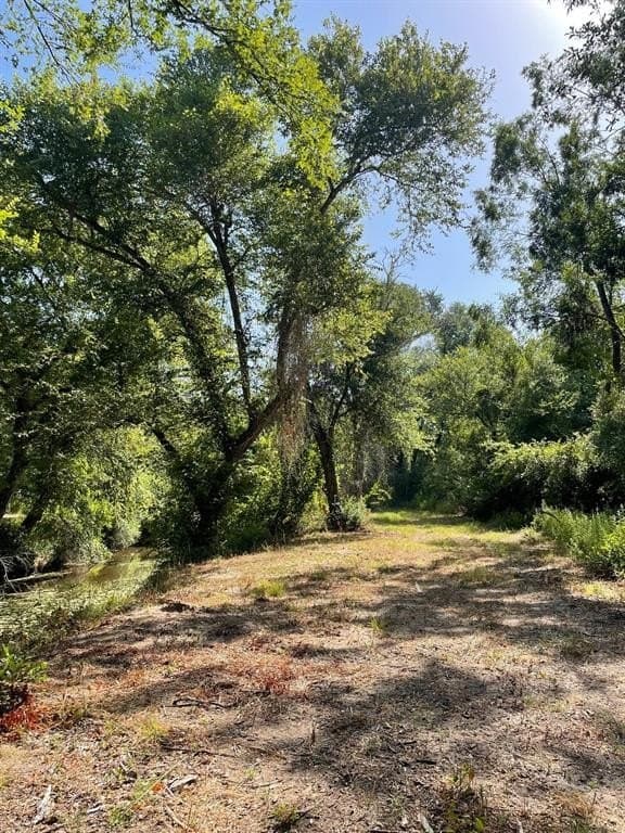 91.75 acres in Limestone County - photo 11