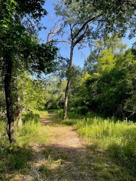 91.75 acres in Limestone County - photo 8
