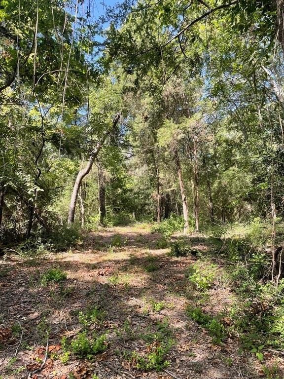91.75 acres in Limestone County - photo 12