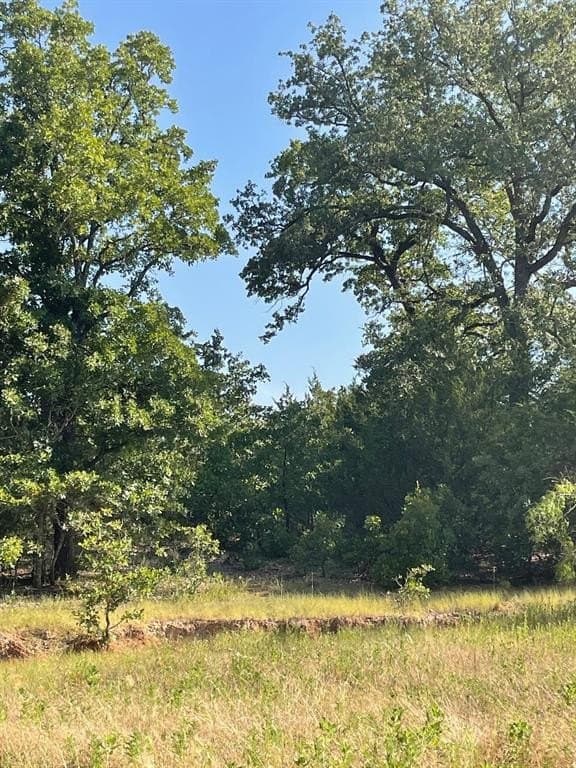 91.75 acres in Limestone County - photo 9