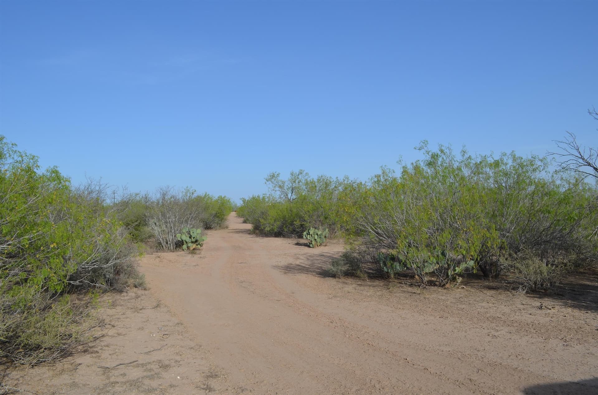 55.44 acres in Webb County - photo 34