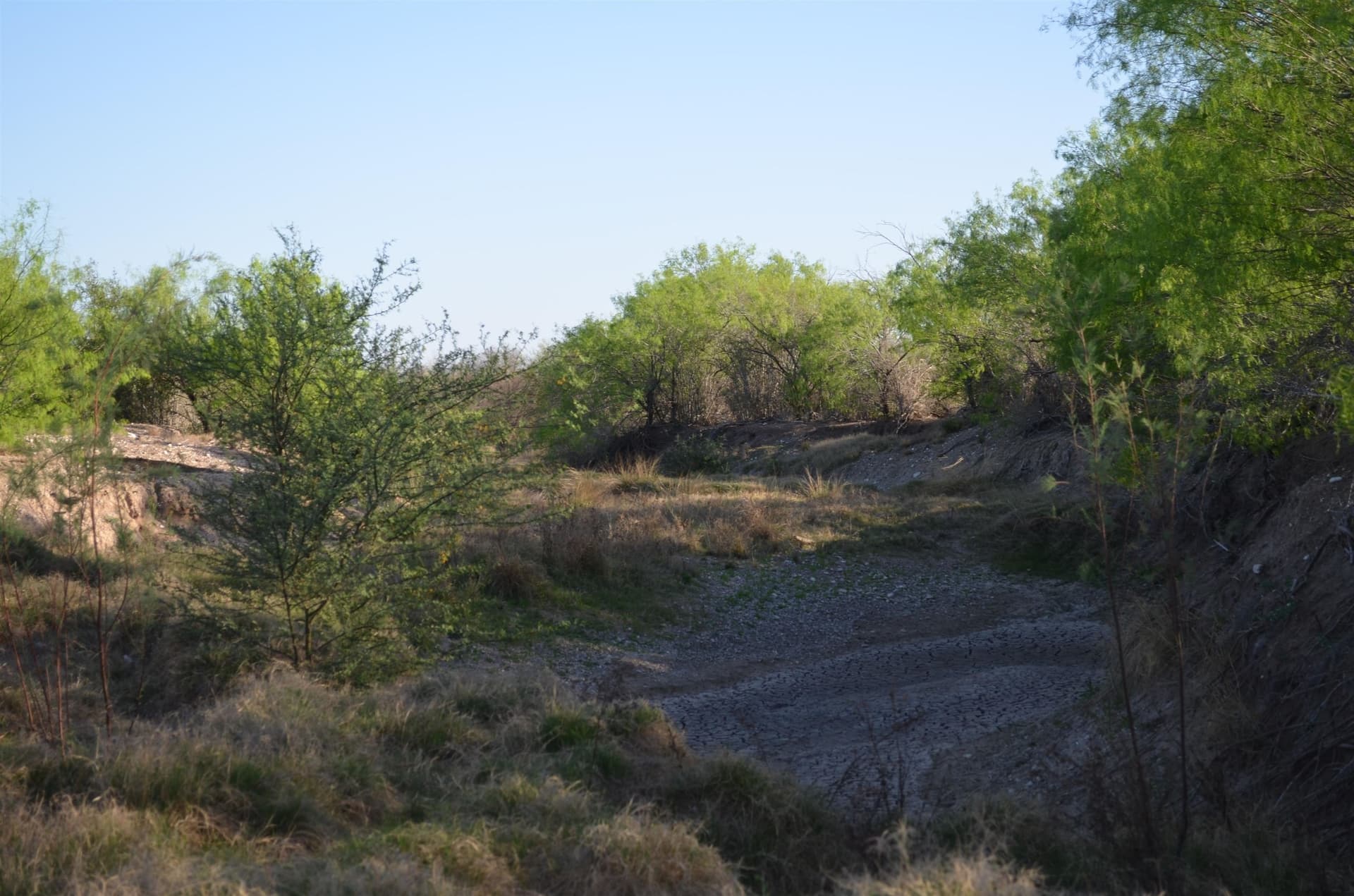 55.44 acres in Webb County - photo 30