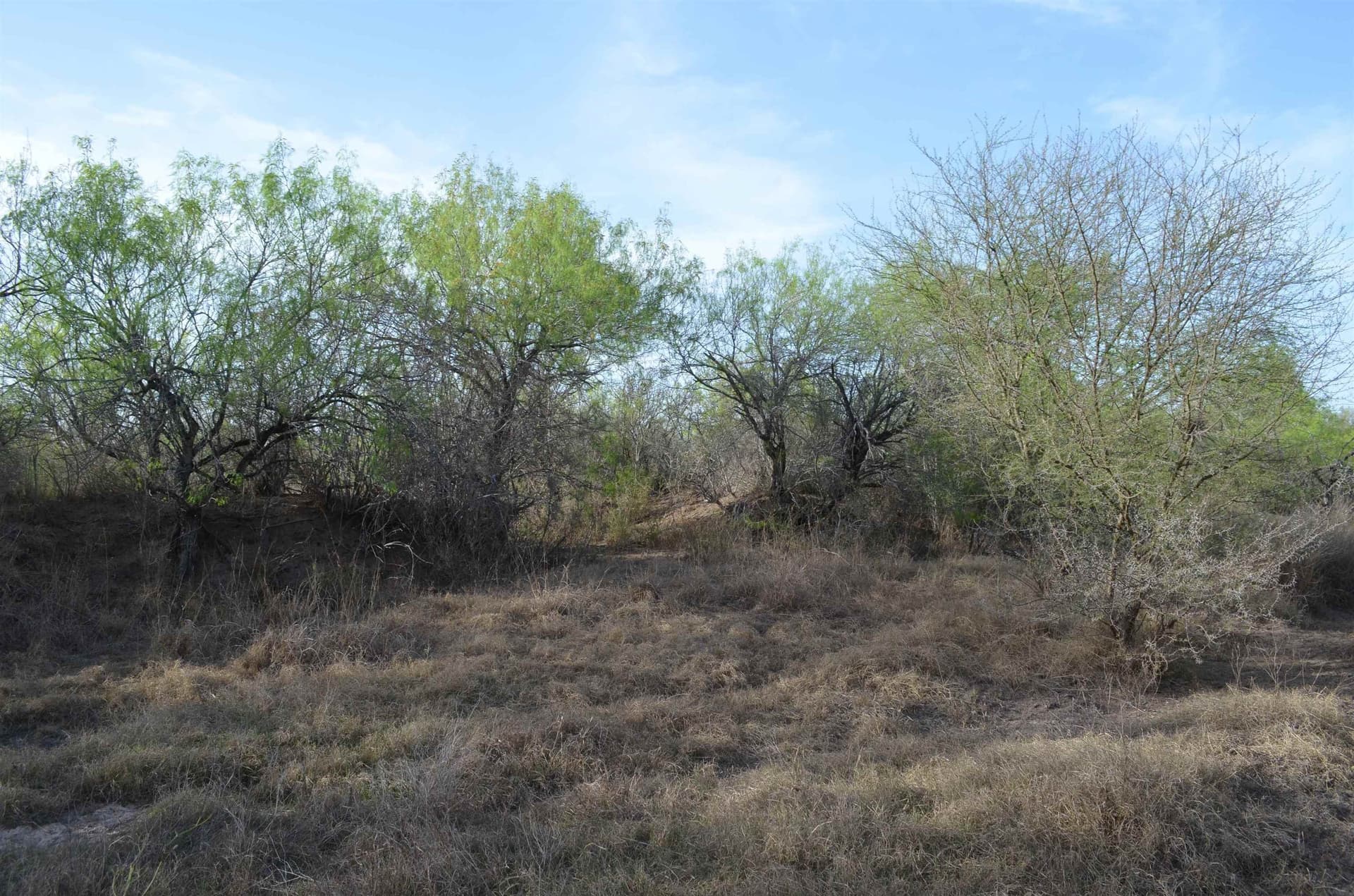 55.44 acres in Webb County - photo 33