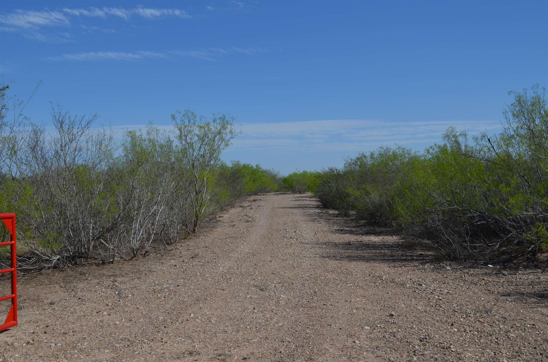 55.44 acres in Webb County - photo 22