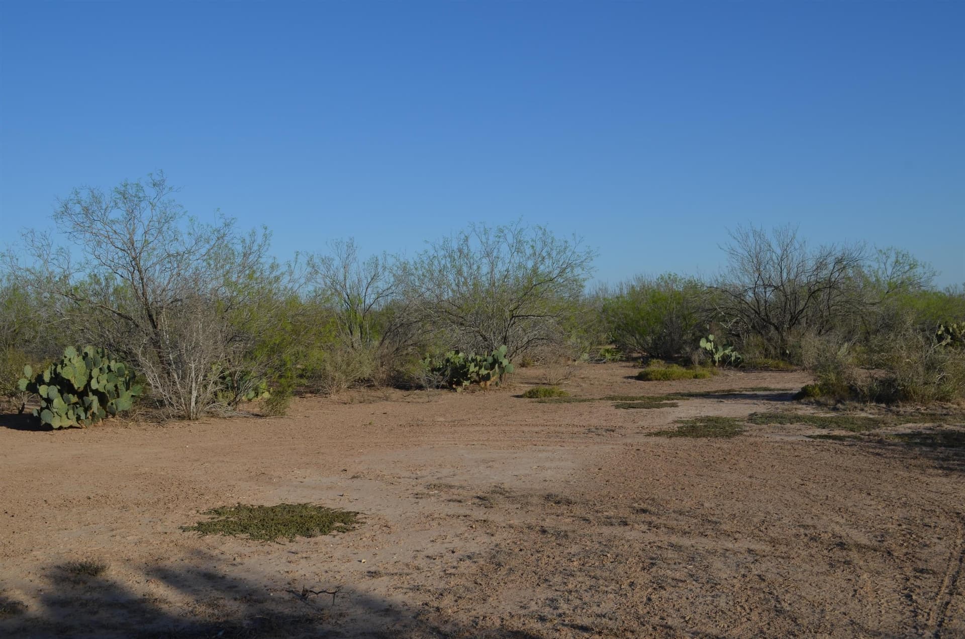 55.44 acres in Webb County - photo 27