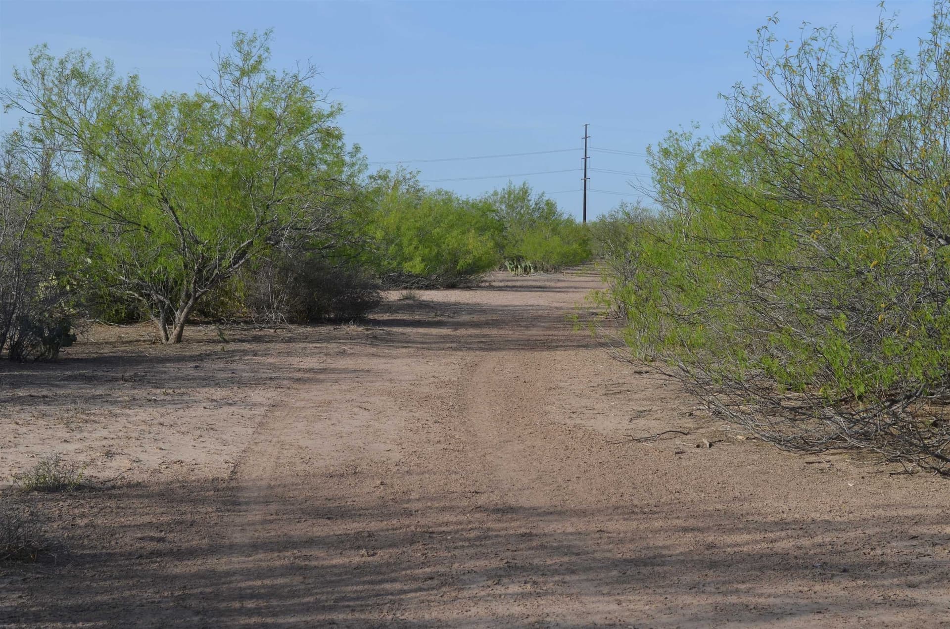 55.44 acres in Webb County - photo 31