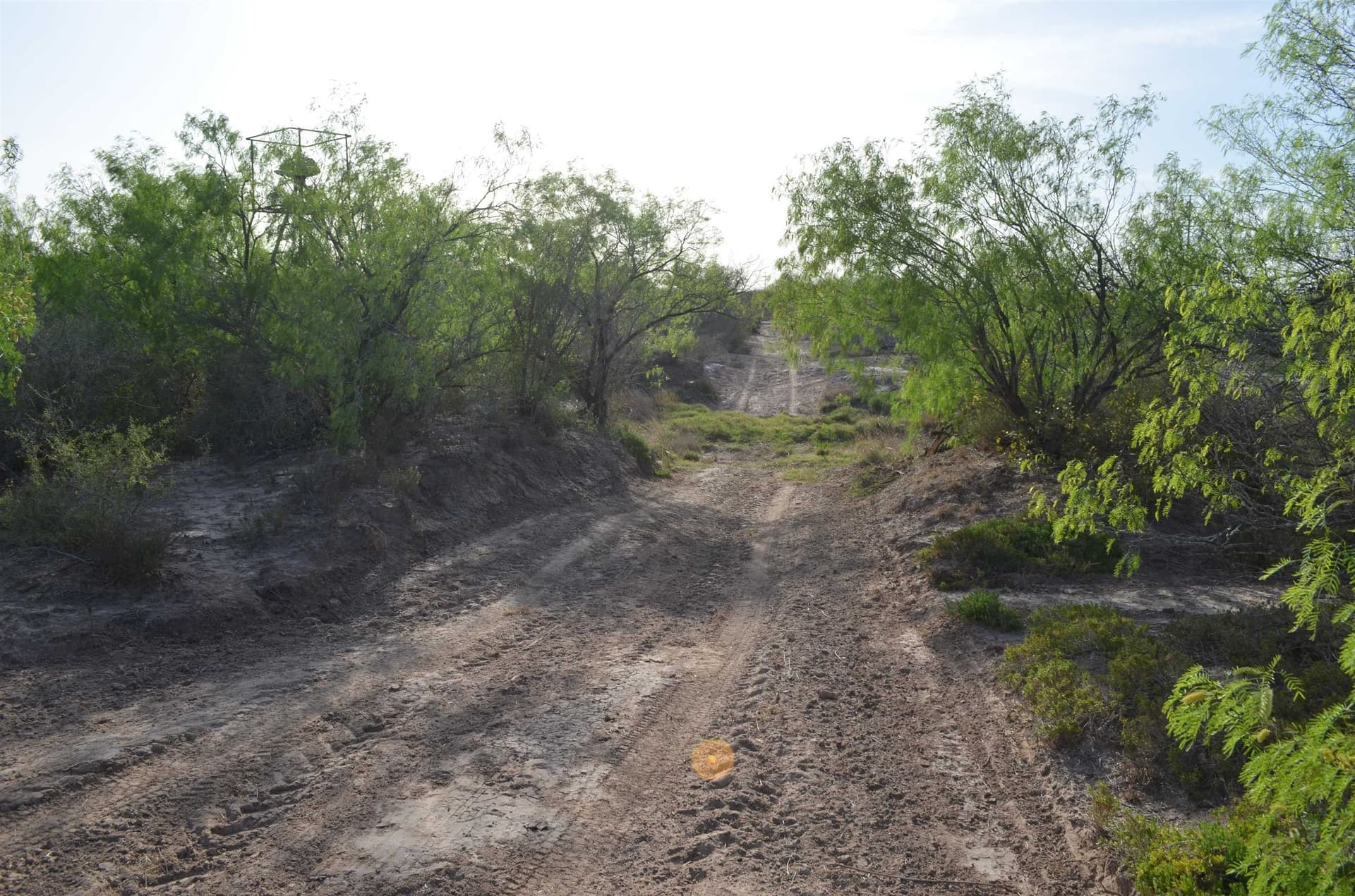 55.44 acres in Webb County - photo 35