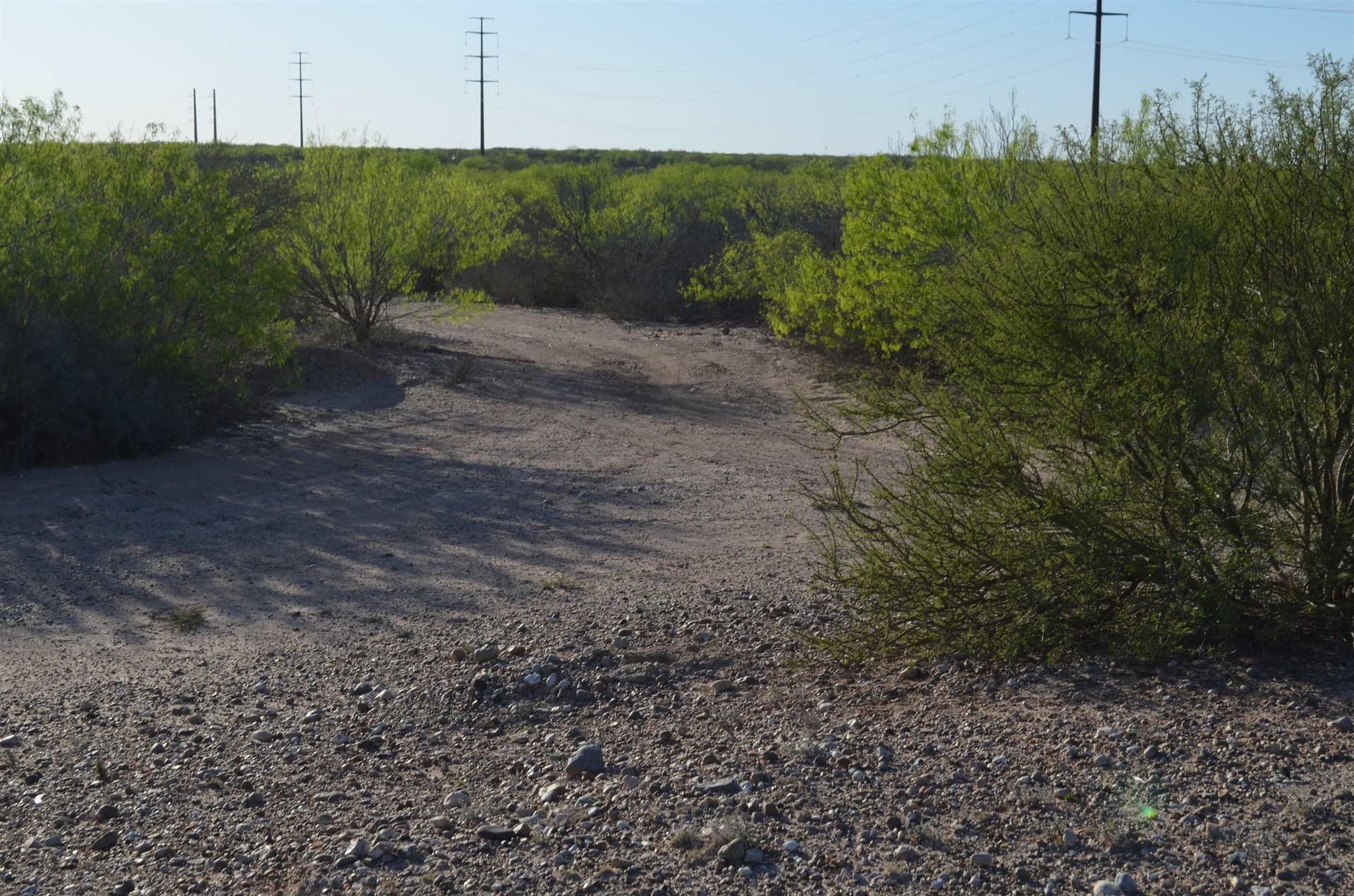 55.44 acres in Webb County - photo 24