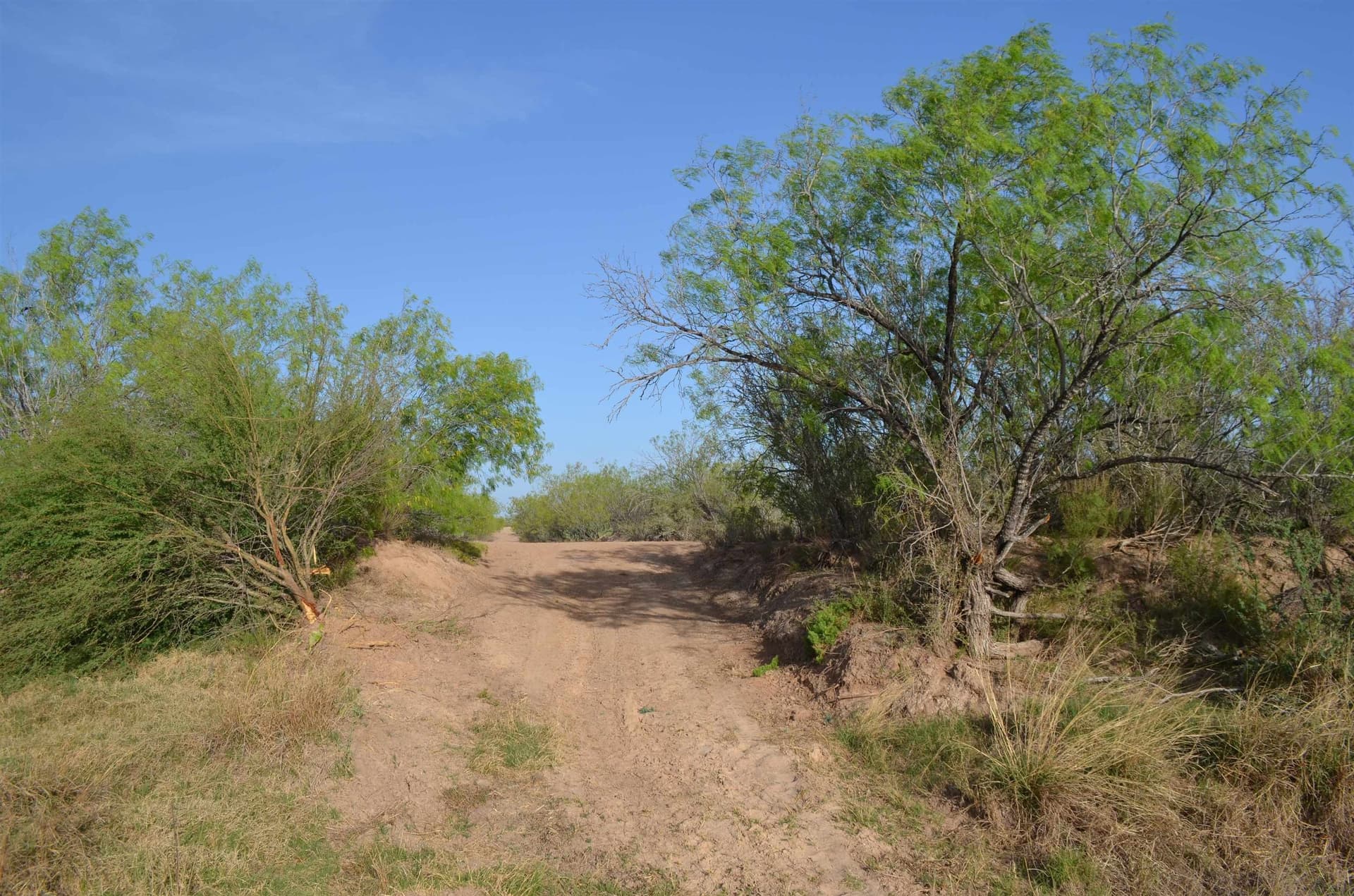 55.44 acres in Webb County - photo 38