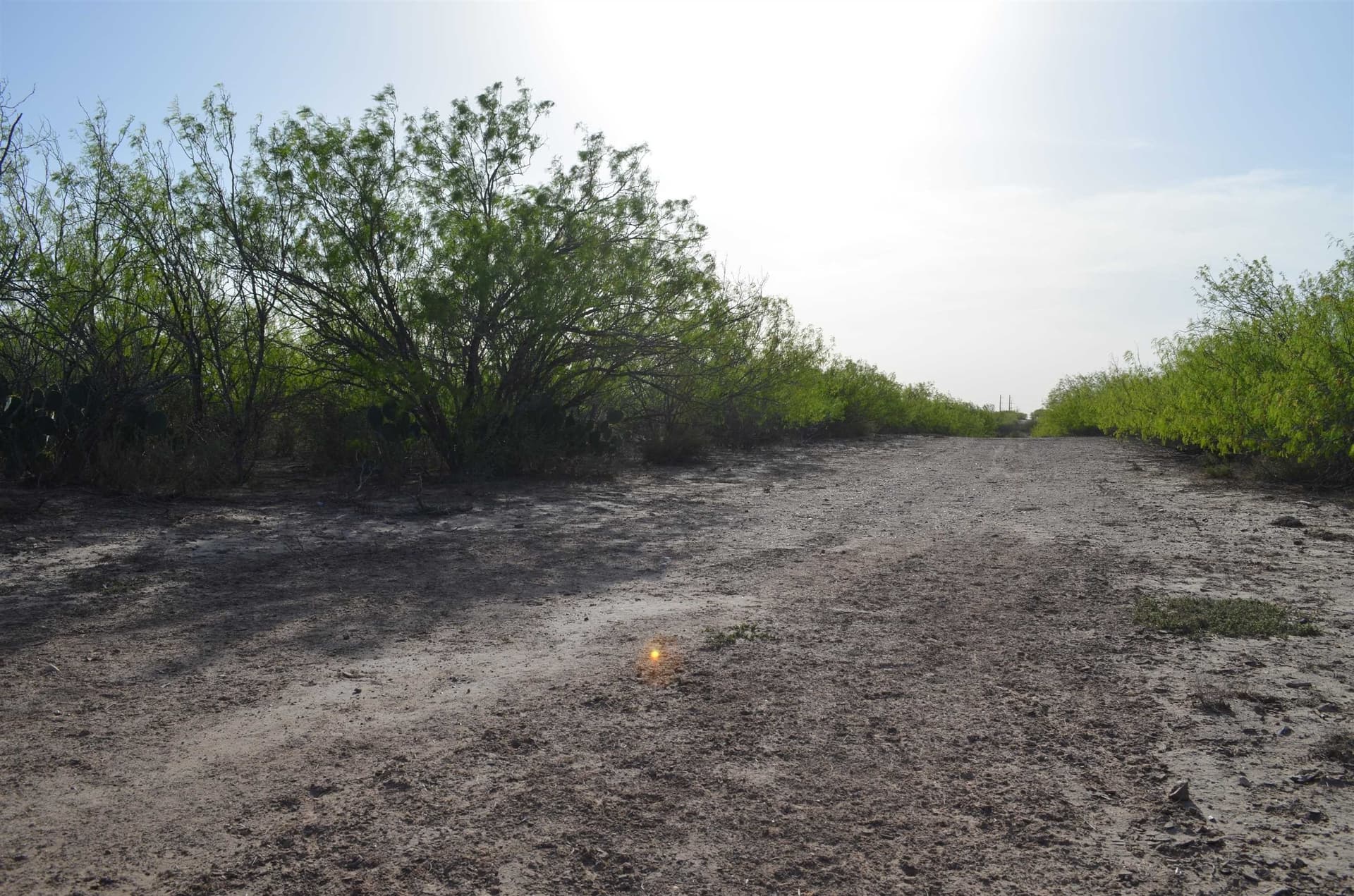 55.44 acres in Webb County - photo 29