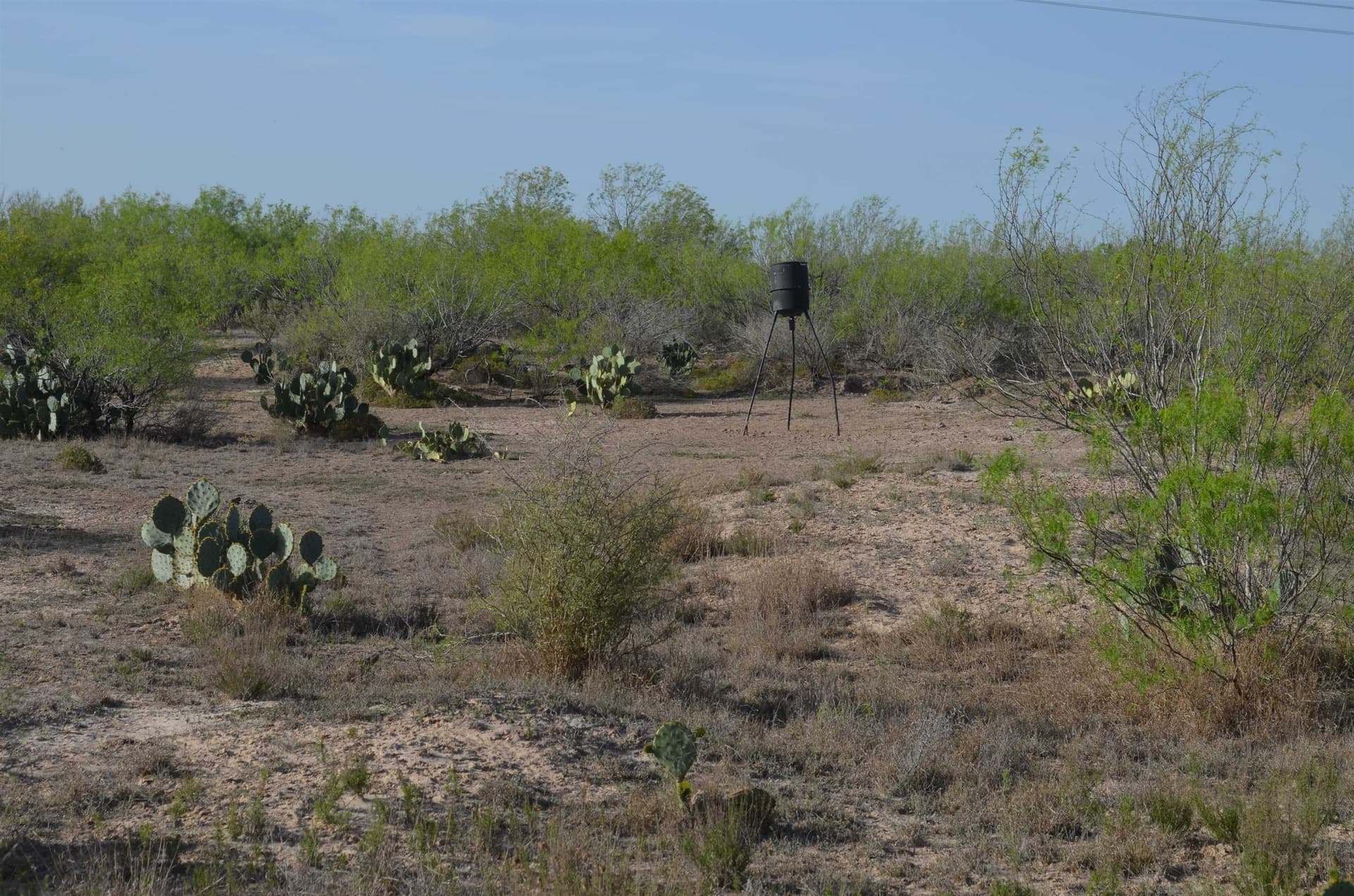 55.44 acres in Webb County - photo 37