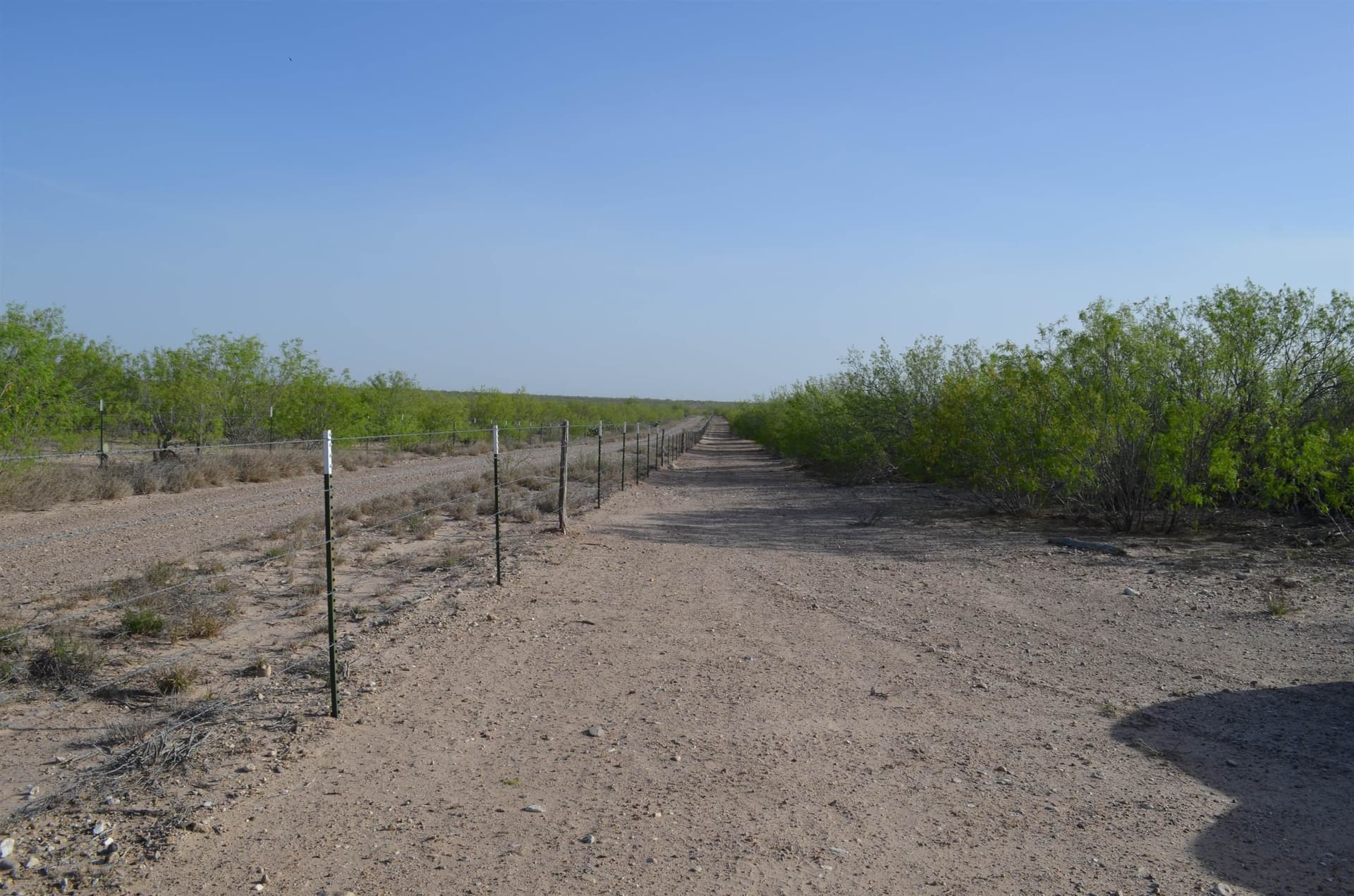 55.44 acres in Webb County - photo 25