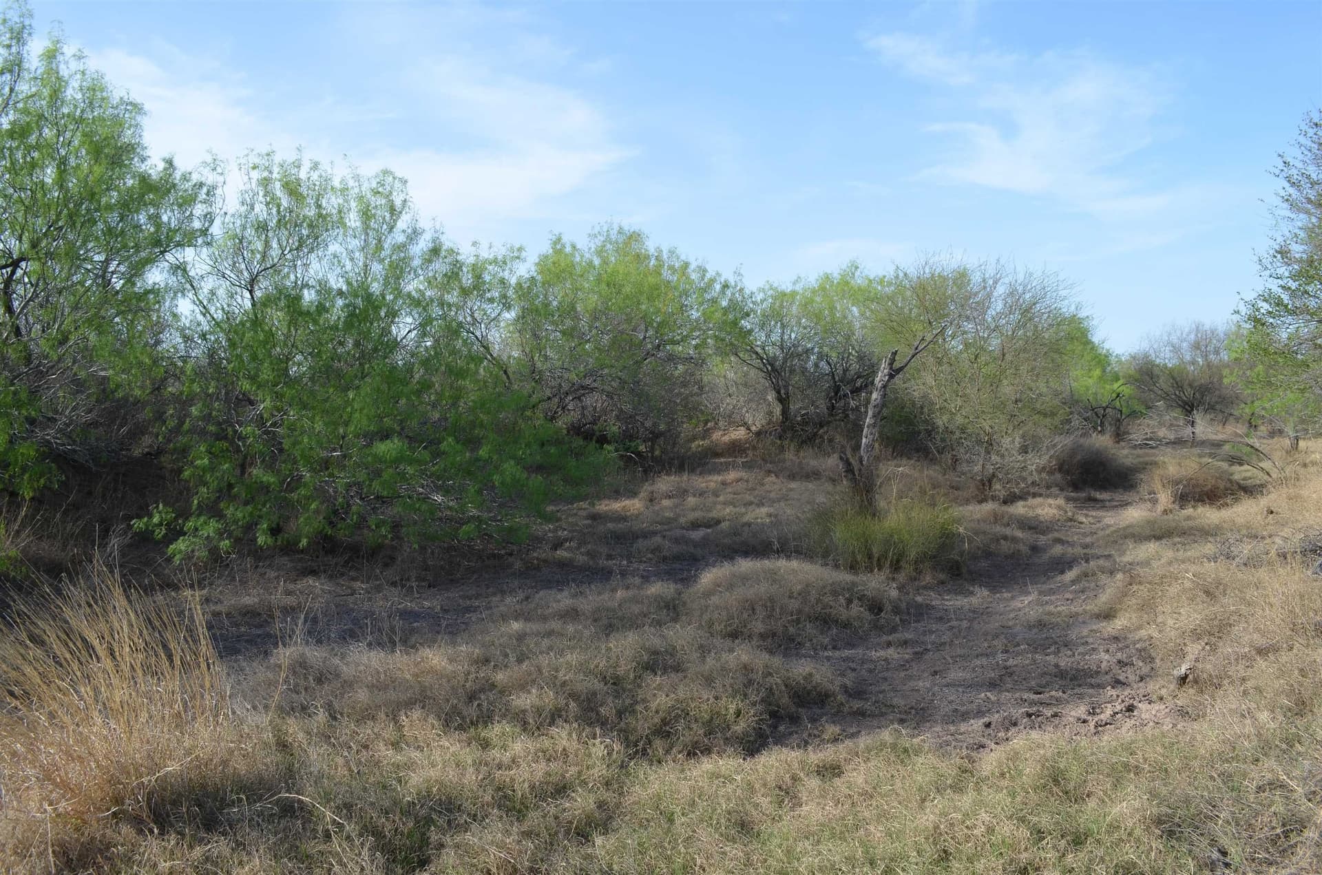 55.44 acres in Webb County - photo 32