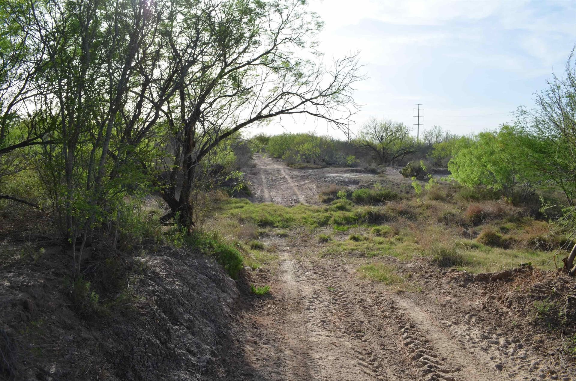 55.44 acres in Webb County - photo 36