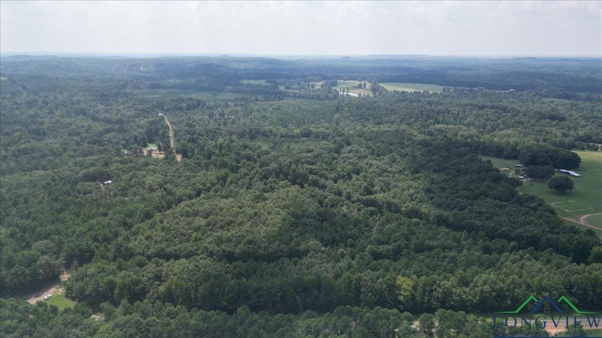 1.83 acres in Upshur County - photo 6