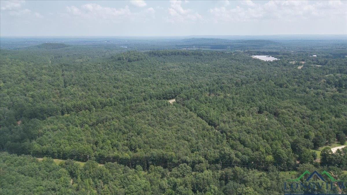 1.83 acres in Upshur County - photo 8