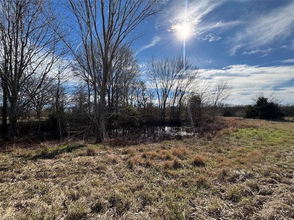 11 acres in Henderson County - photo 2
