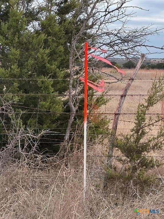 20.15 acres in Williamson County - photo 2