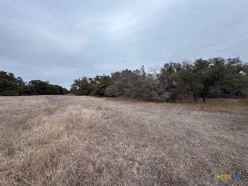 20.15 acres in Williamson County - photo 5