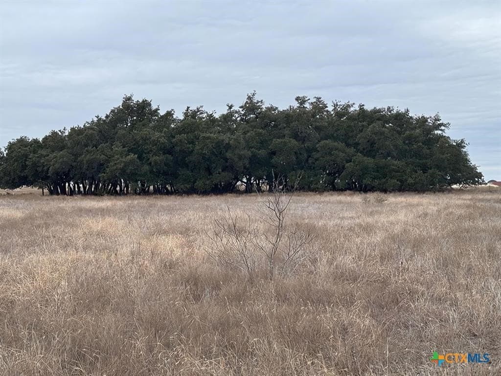 20.15 acres in Williamson County - photo 4