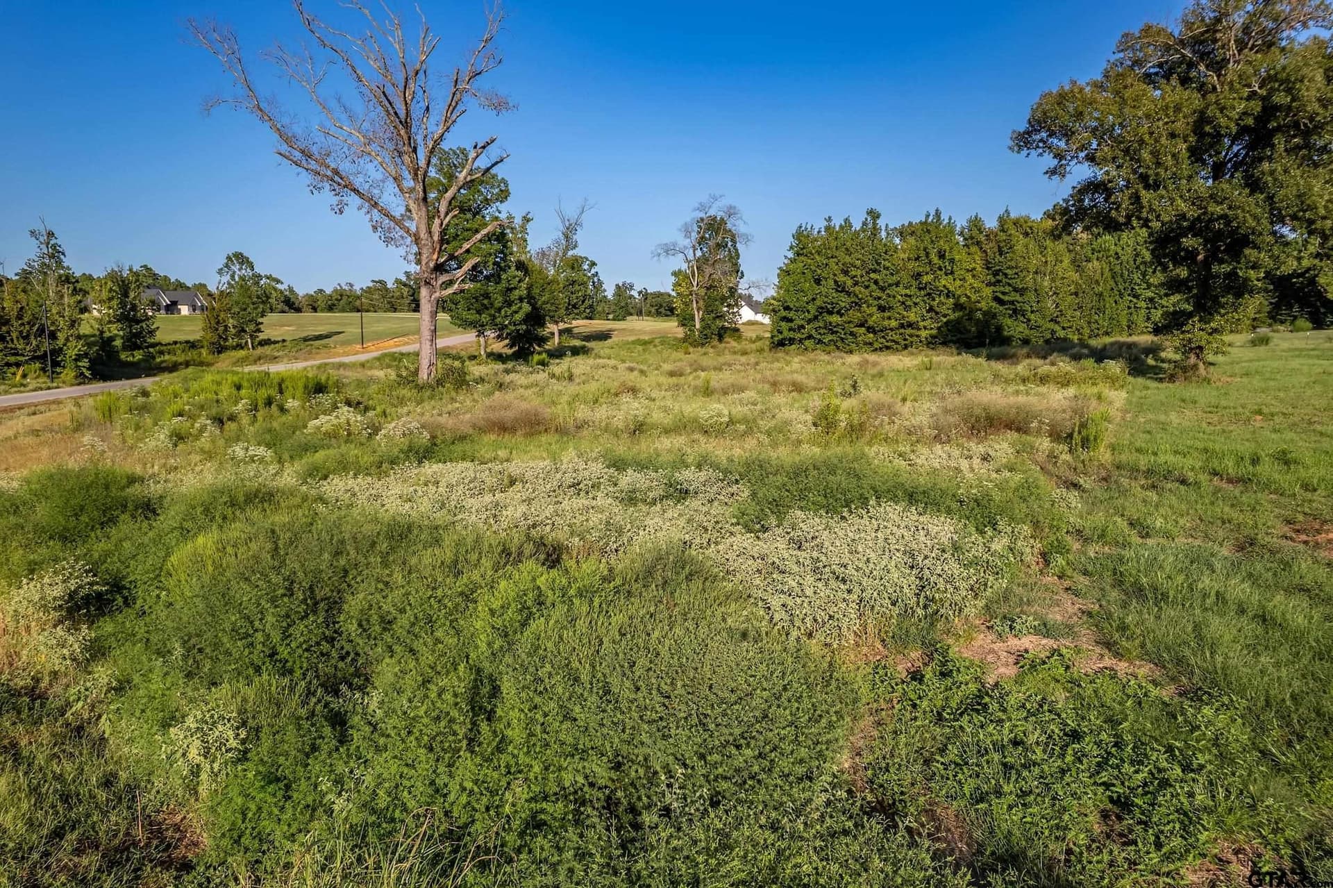 3.03 acres in Smith County - photo 4